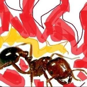 Meet your Posher, Cal